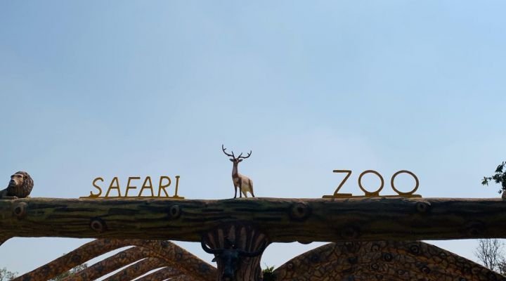 Suncatchers on Safari Ride - Photo 8