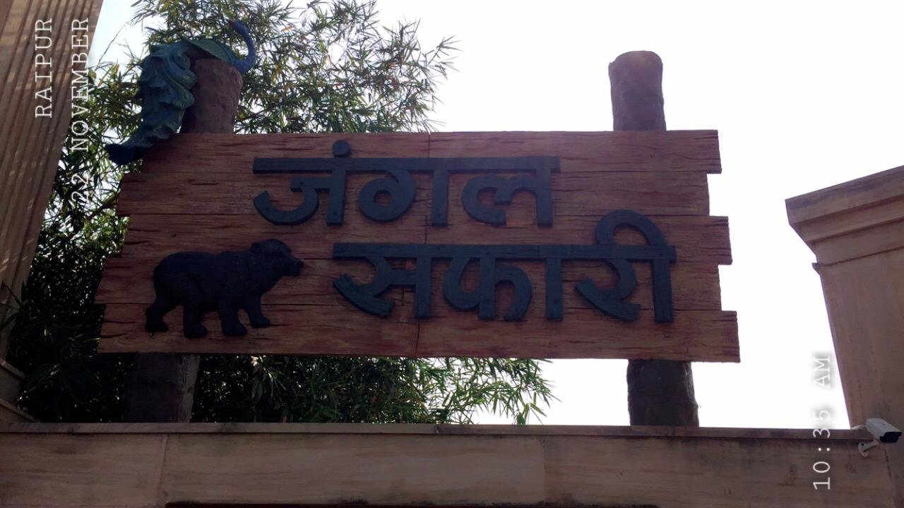 Suncatchers on Safari Ride - Photo 9