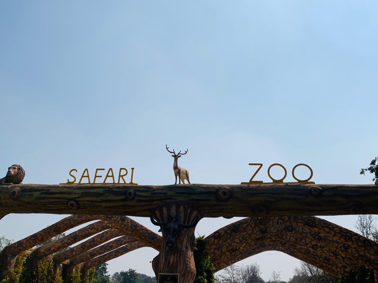 Suncatchers on Safari Ride - Photo 16